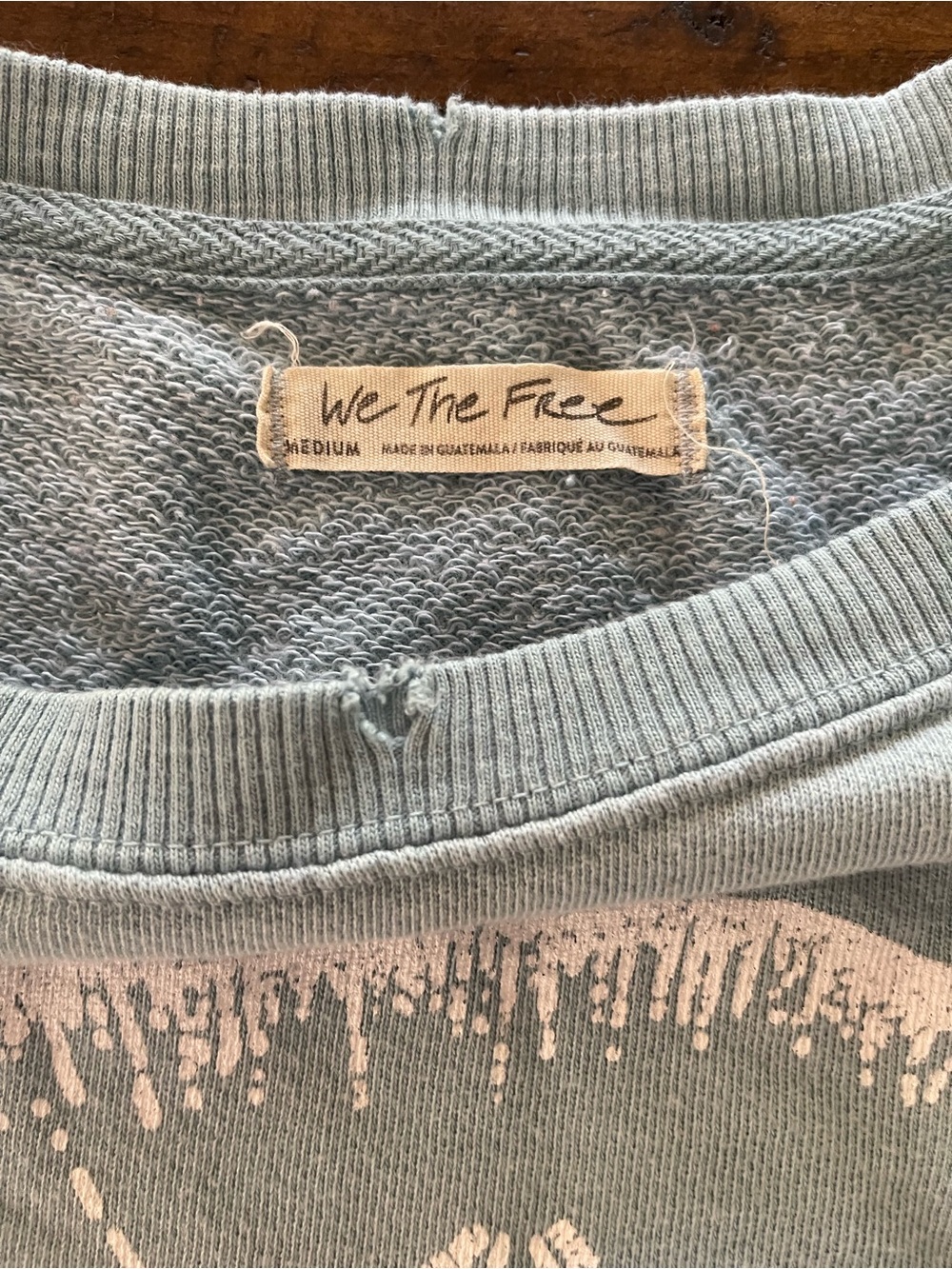 We The Free Graphic Camden Pullover- Sand Dollar Size Medium - Picture 7 of 8